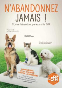 Affiche encourageante de la SPA qui ne cessera de lutter contre l’abandon Source : https://positivr.fr/abandon-animaux-chats-chiens-ete-vacances-spa/