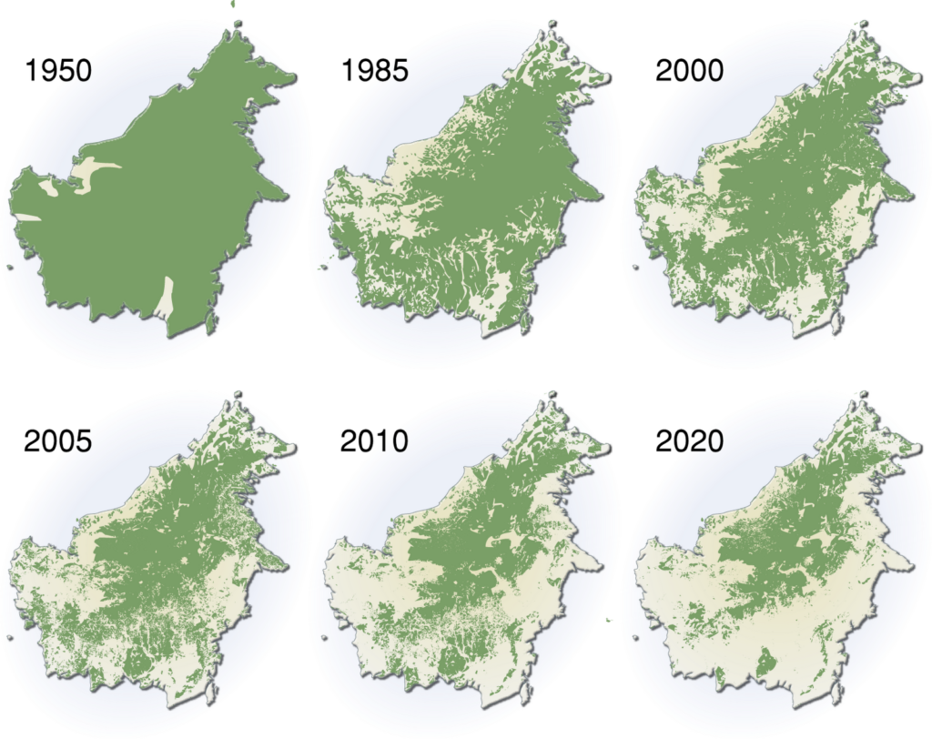 Déforestation brutale de Bornéo, source Econologie
